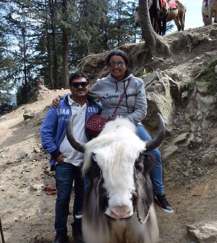 horse riding in shimla