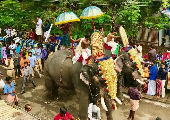 decorated elephants