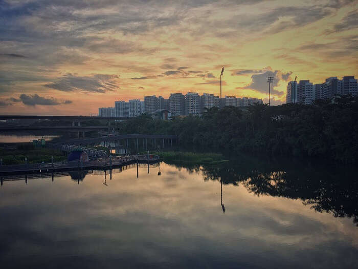 sengkang floating wetland