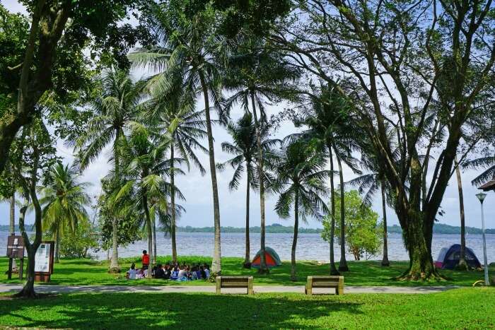 4 Places To Visit Near Pasir Ris Drive For Great Singapore ...