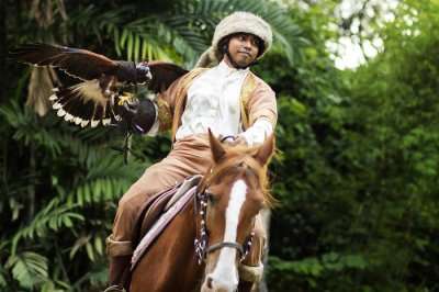 jurong bird park cover