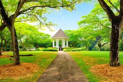 Singapore botanic garden