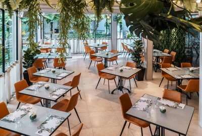 Skyve wine bistro