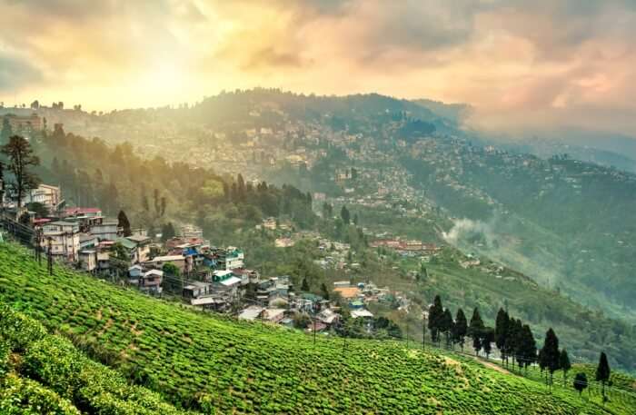 Weather In Darjeeling In May