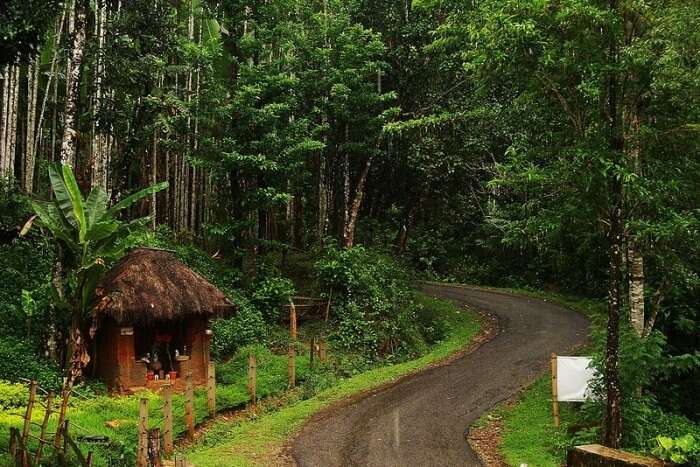 Road In Agumbe