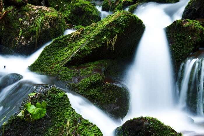 milky white water drops falling