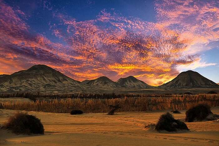 Bahariya Oasis