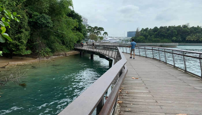 Boardwalk