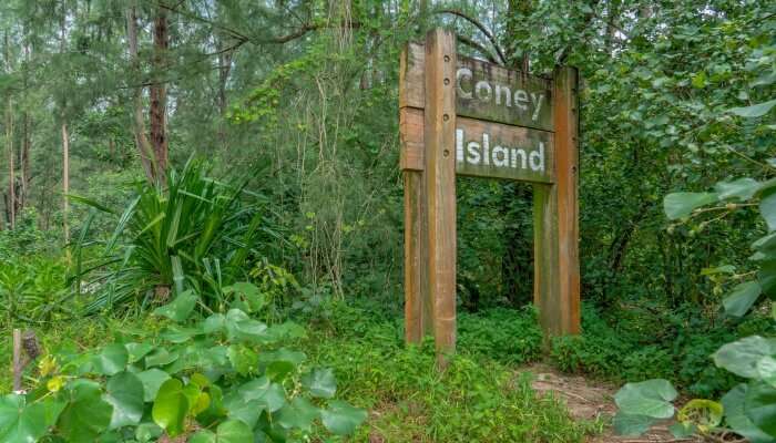 Coney Island Park 