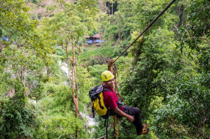 Flying Fox