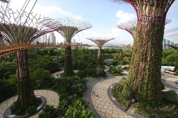 Gardens By The Bay