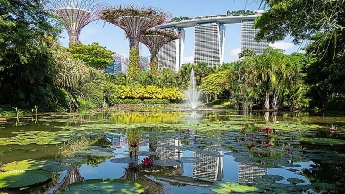 Gardens By The Bay