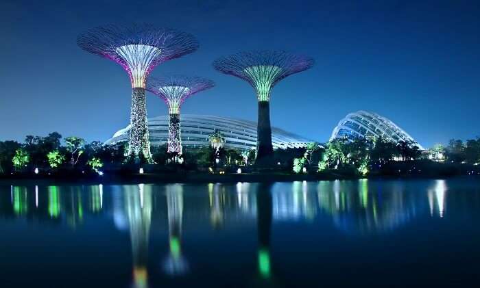 Gardens by the bay at night