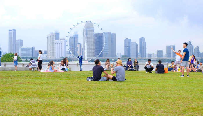 Picnic