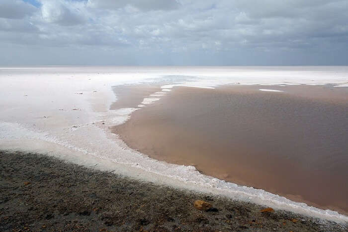 white salt marshlands