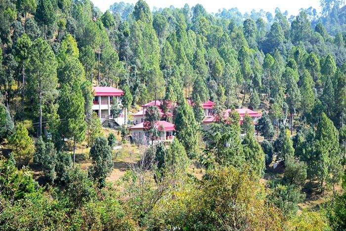 Himalayan Eco Lodges Majkhali Woods