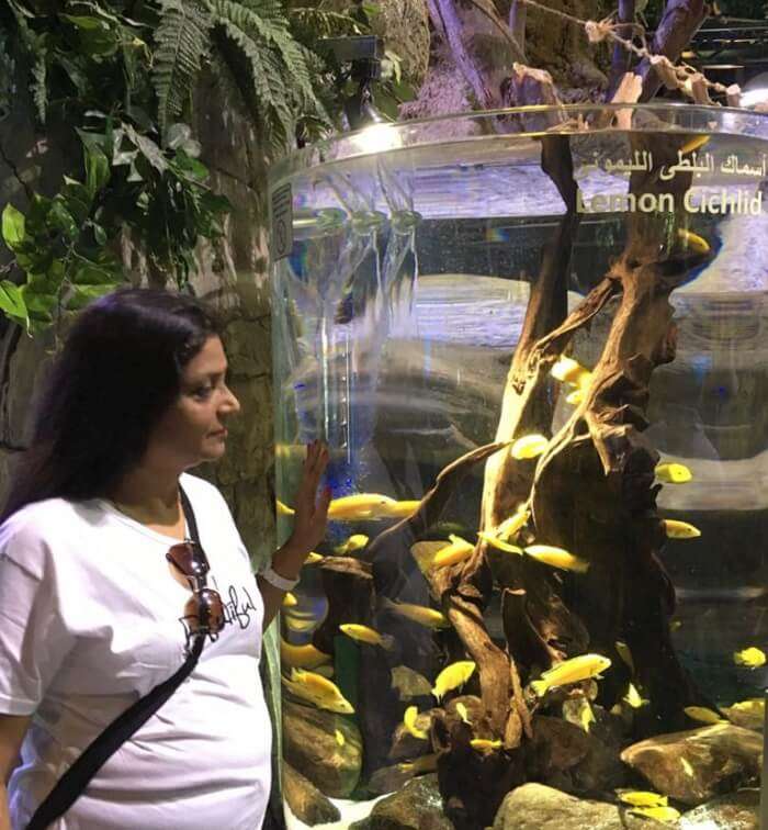 Dubai Aquarium