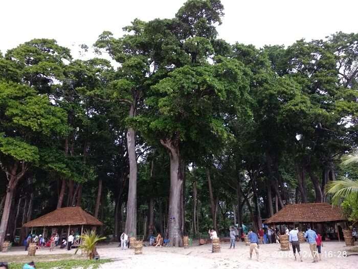 view of the beach