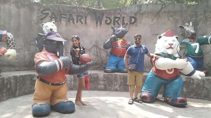 in safari world