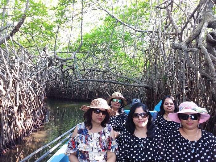 Bentota River on a boat safari