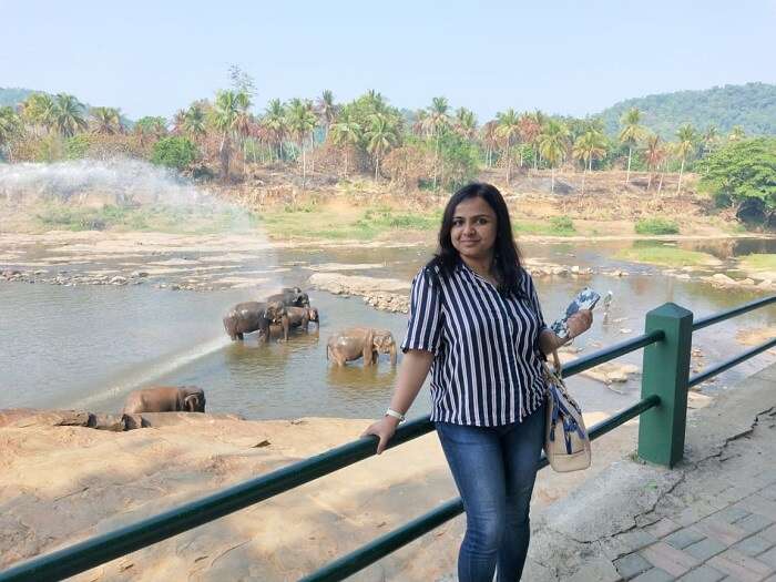 visited Pinnawala Elephant Orphanage