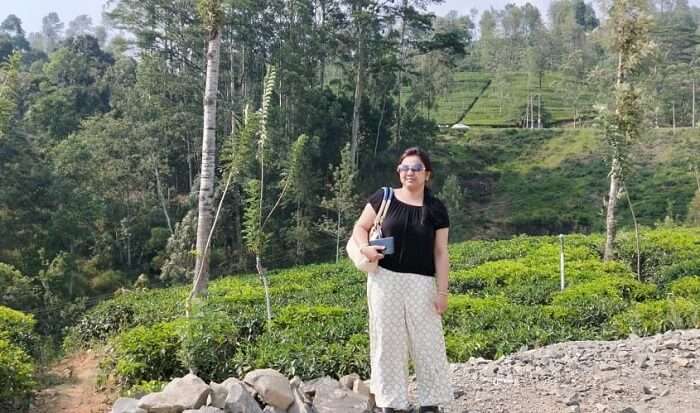 visited the picturesque tea estate