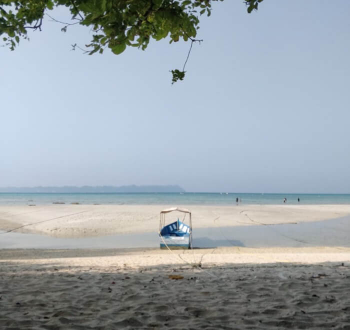 at radhanagar beach