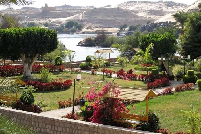 Lush islands and islets dot the Nile River of Aswan