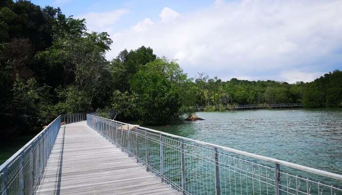 Island Walking