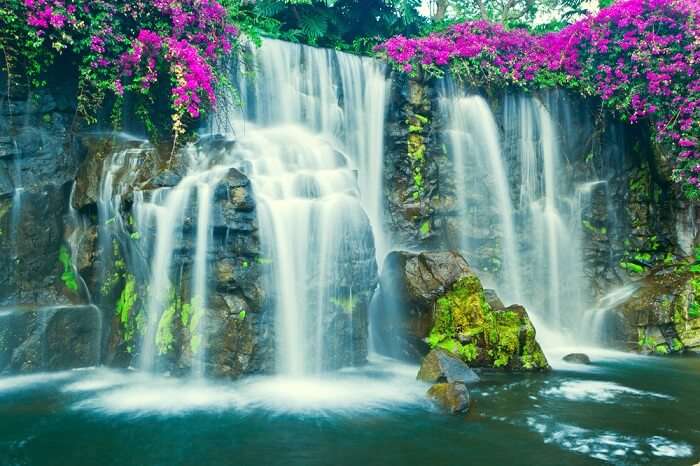     This is the most beautiful waterfall and waterfall