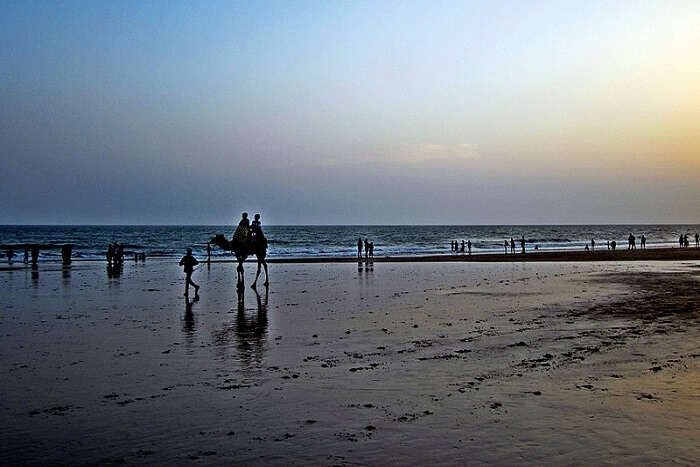 camel ride on beach