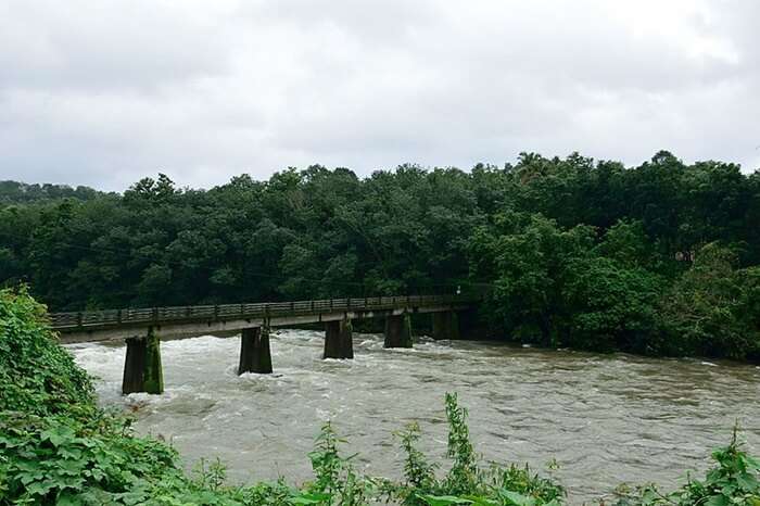 Manimala River