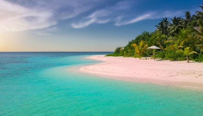 Pink Sand Beaches