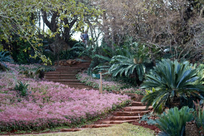 Pretoria National Botanical Garden