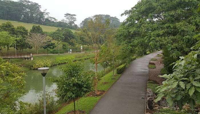 Punggol Waterway Park