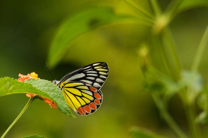 Heaven for nature lovers and photographers