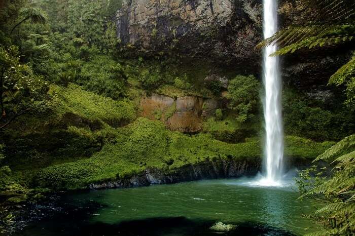 This is one of the largest waterfalls in India