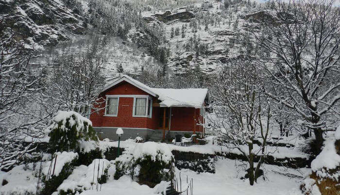 Tree House Cottages in Manali