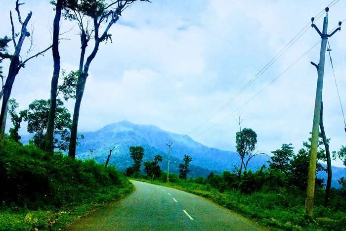 Wayanad