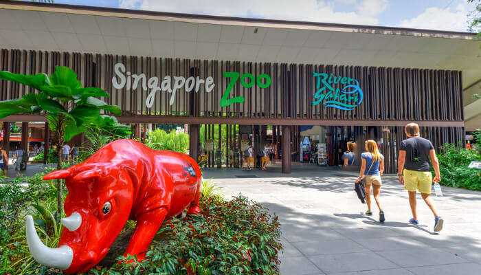 Best Things To Do Near Singapore Zoo