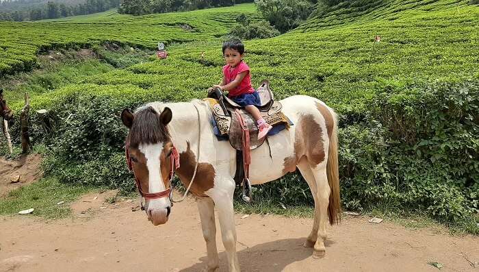  beauty of Kerala 