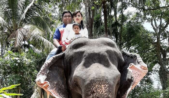 rode an elephant 