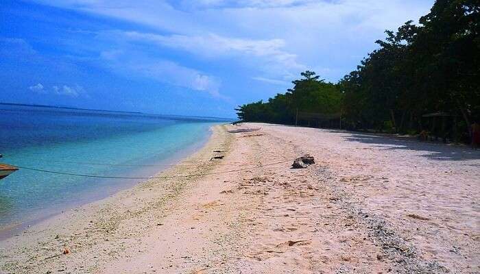 Great Santa Cruz Island