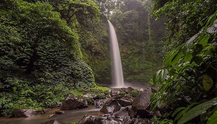 waterfall amidst lush greenery