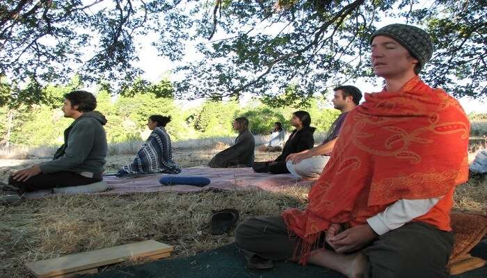 Ananda Sangha Yoga