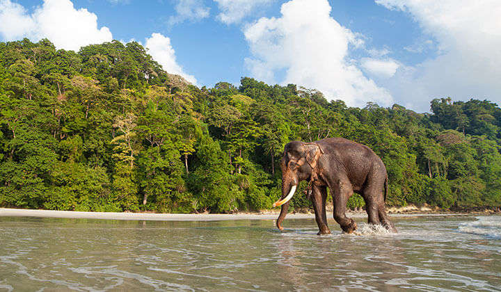 Andaman