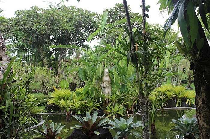 Bali Botanic Garden