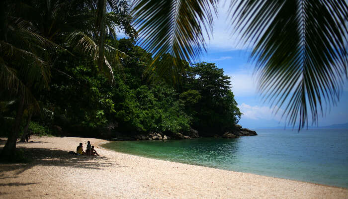 Bamboo Beach