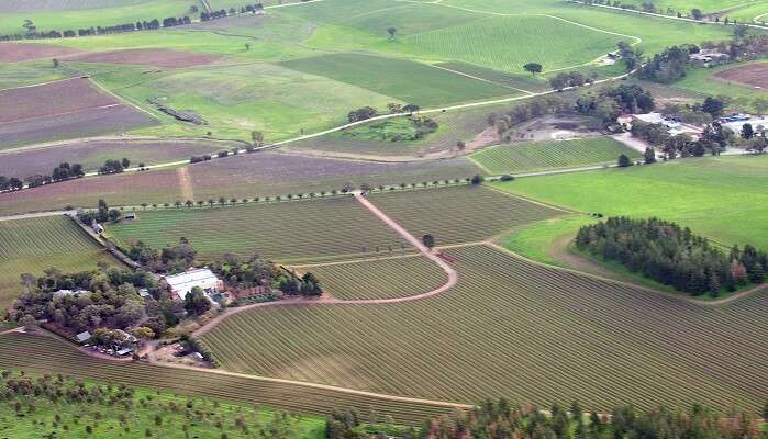 The picturesque landscape of vineyards in Barossa Valley; among the beautiful Australia tourist attractions.