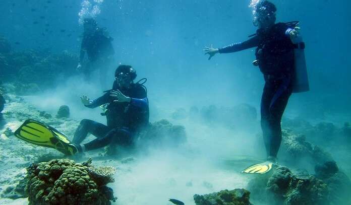 Best Time For Scuba Diving In Kochi